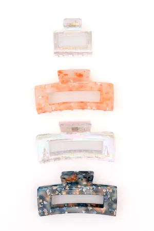 Confetti and Iridescent Clip Set of 4 - 1/1/2025