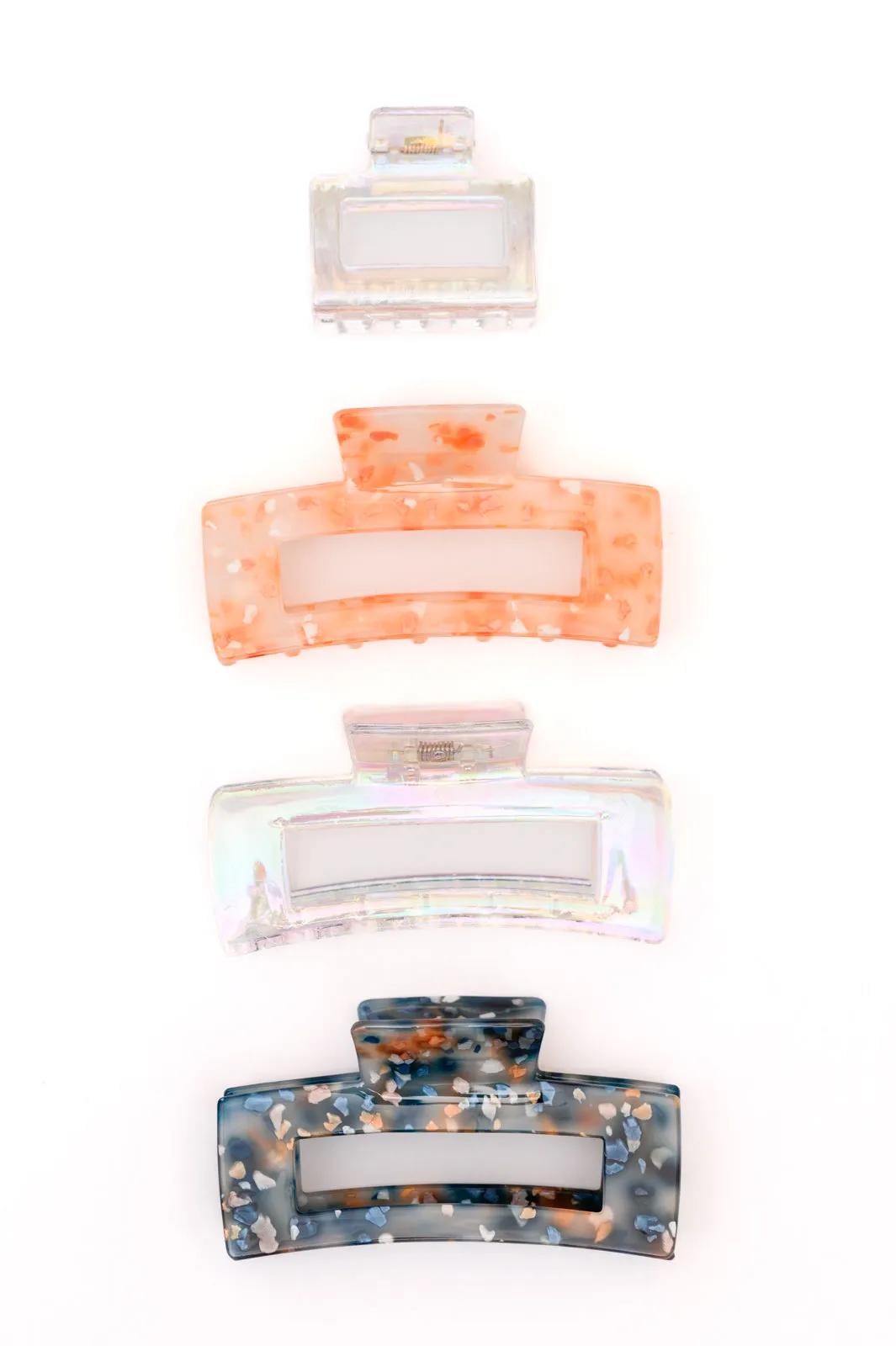Confetti and Iridescent Clip Set of 4 - 1/1/2025